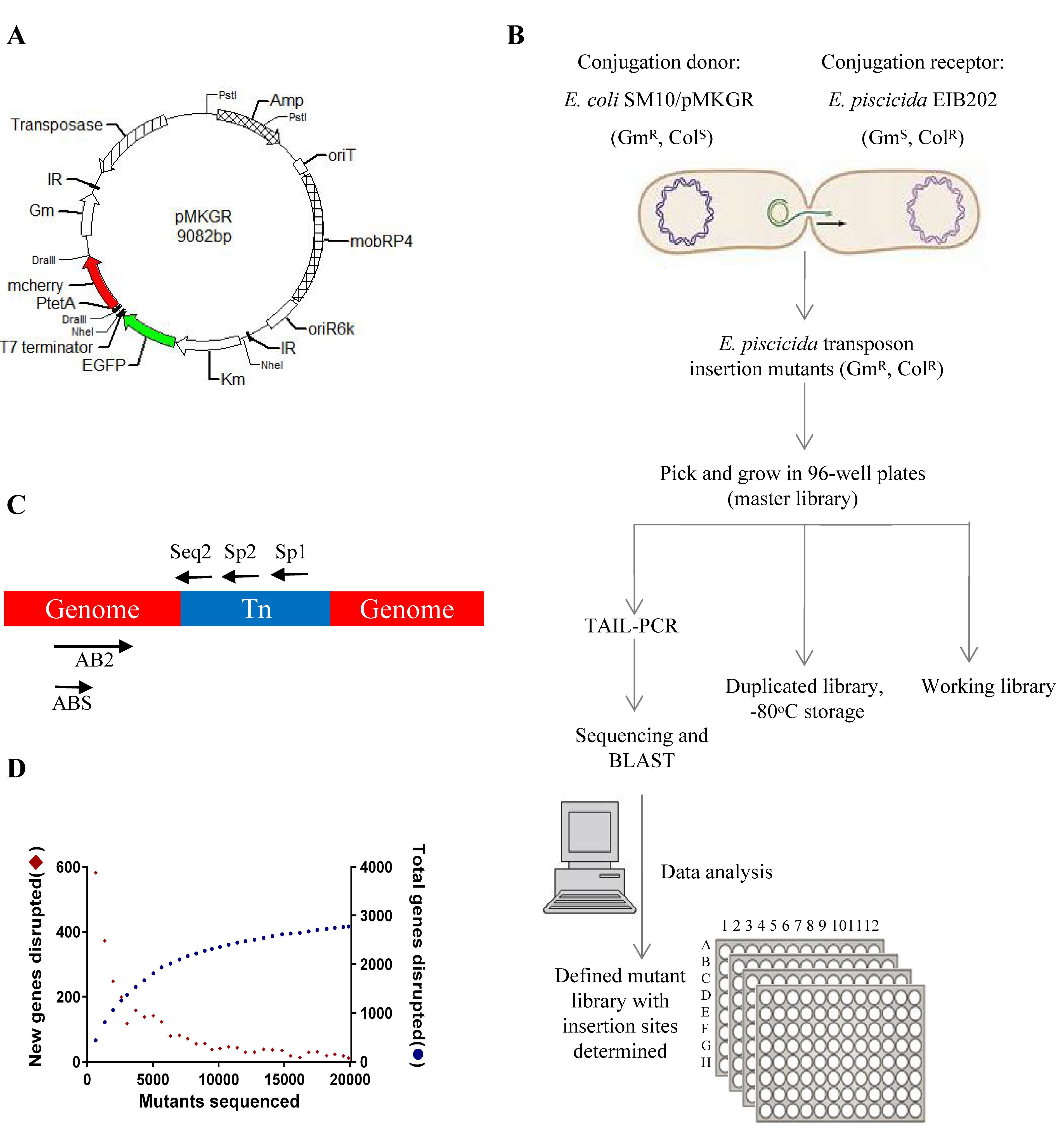 Defined Mutant Library Sequencing Dml Seq For Identification Of