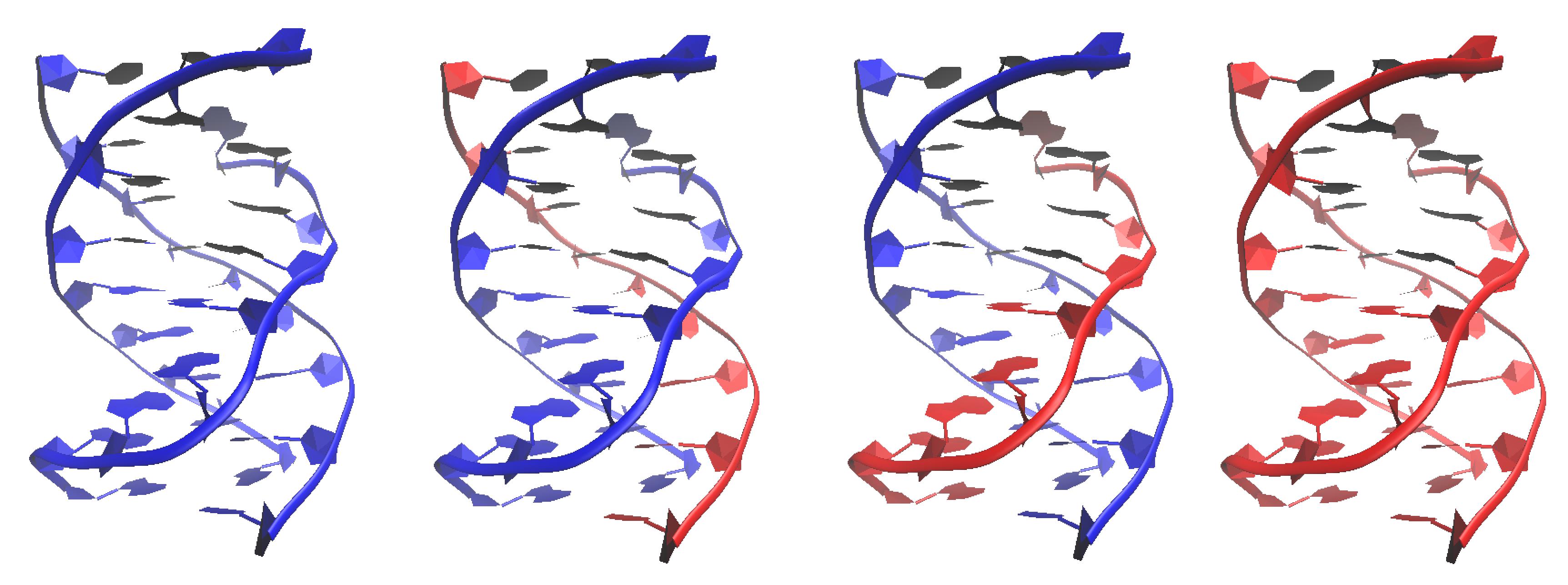 Construction Of DNA RNA Triplex Helices Based On GAA TTC Trinucleotide