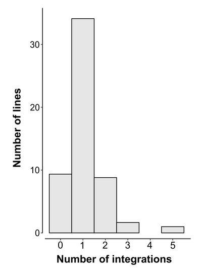 fig1.jpg