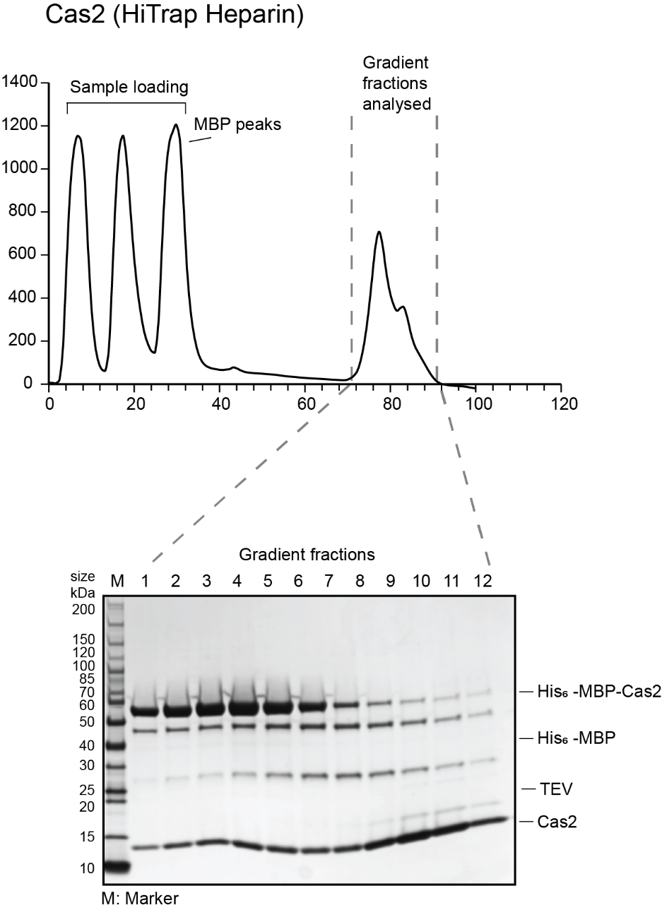 Shape

Description automatically generated with medium confidence
