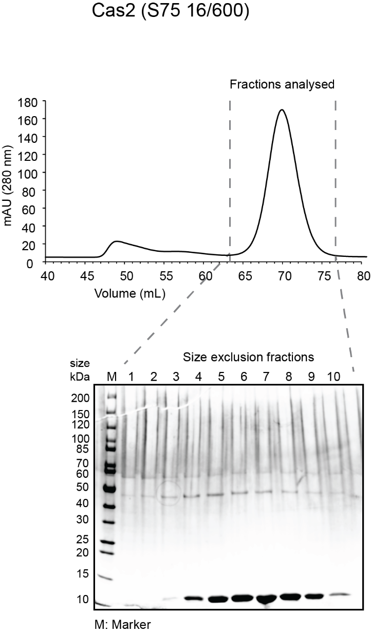 Shape

Description automatically generated with medium confidence