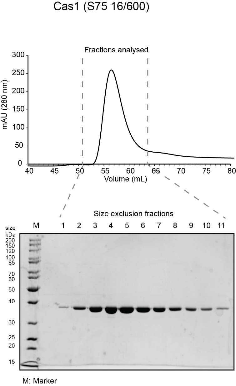 Shape, rectangle

Description automatically generated