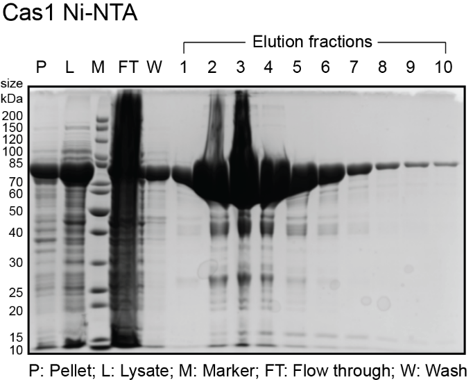A picture containing text

Description automatically generated