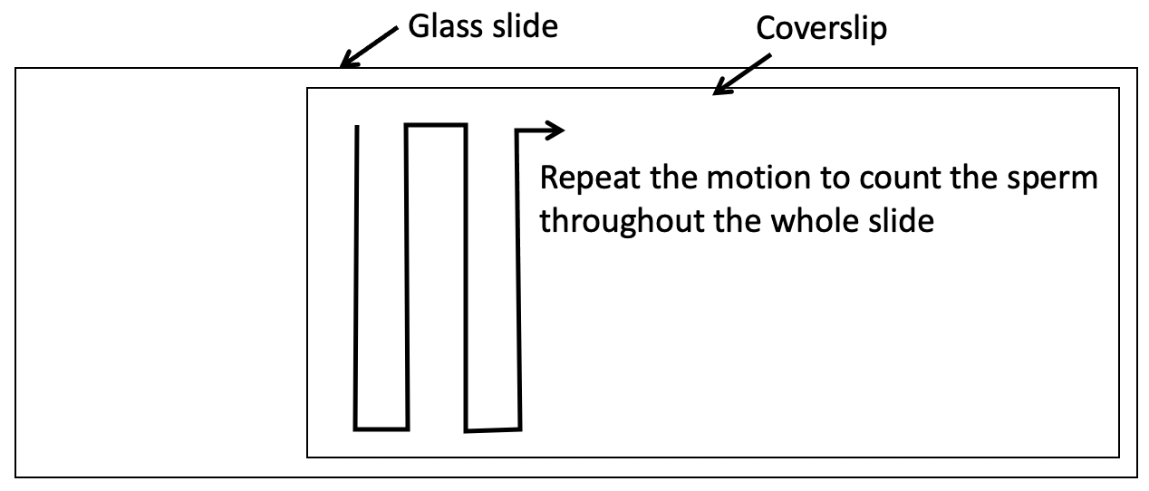 Diagram, text

Description automatically generated