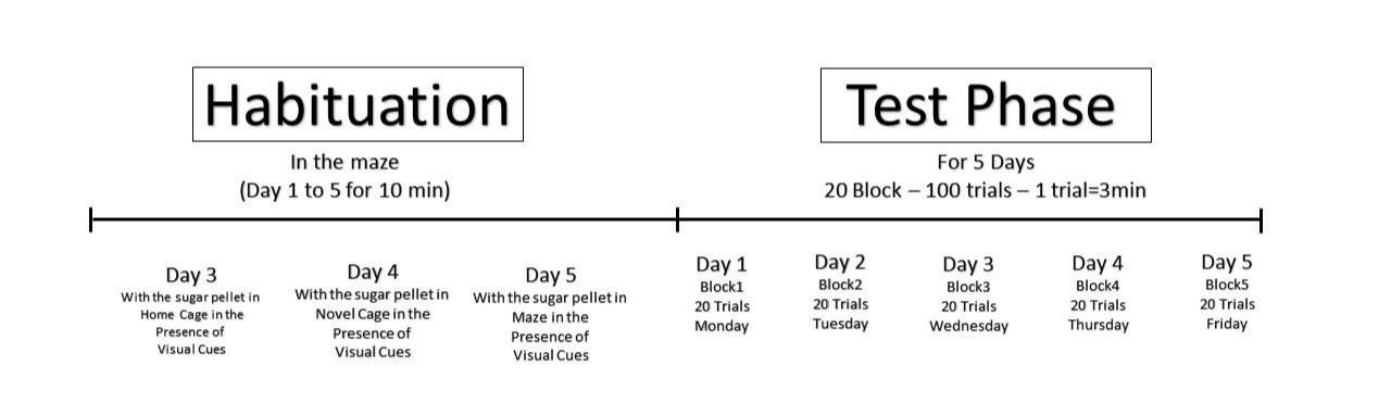 A diagram of a test

Description automatically generated with medium confidence