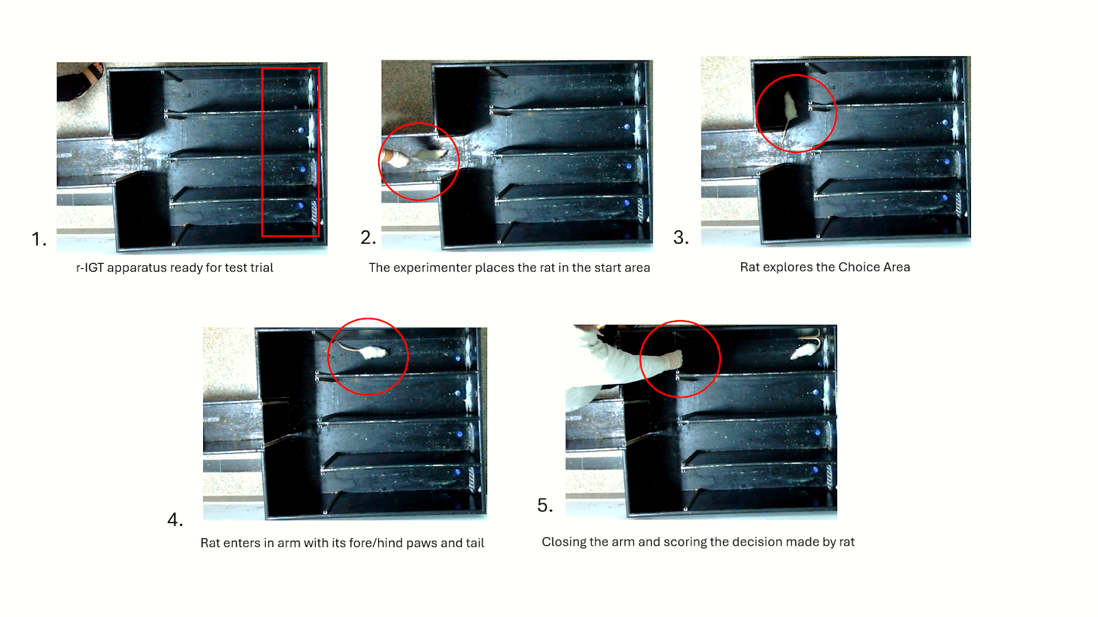 A collage of several images of a shelf

Description automatically generated