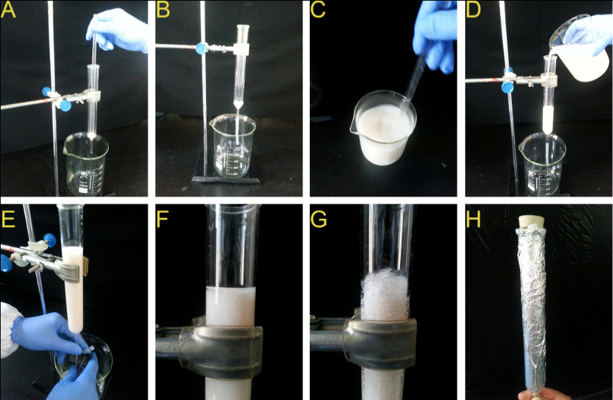 Collection of Root Exudate from Duckweed —BIO-PROTOCOL