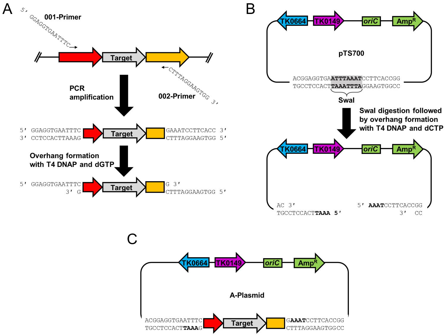 Markerless Gene Editing in the Hyperthermophilic Archaeon Thermococcus ...