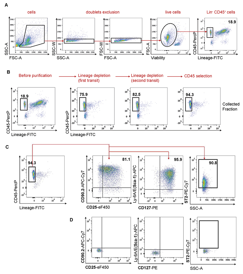 Isolation and Culture of Mouse Lung ILC2s —BIO-PROTOCOL