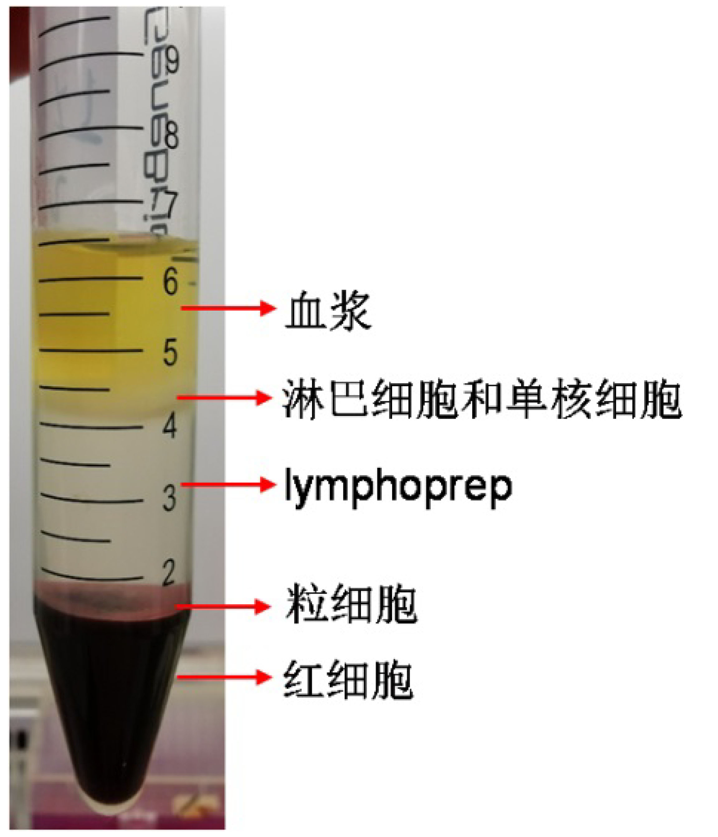 immune cell landscape of human peripheral blood by