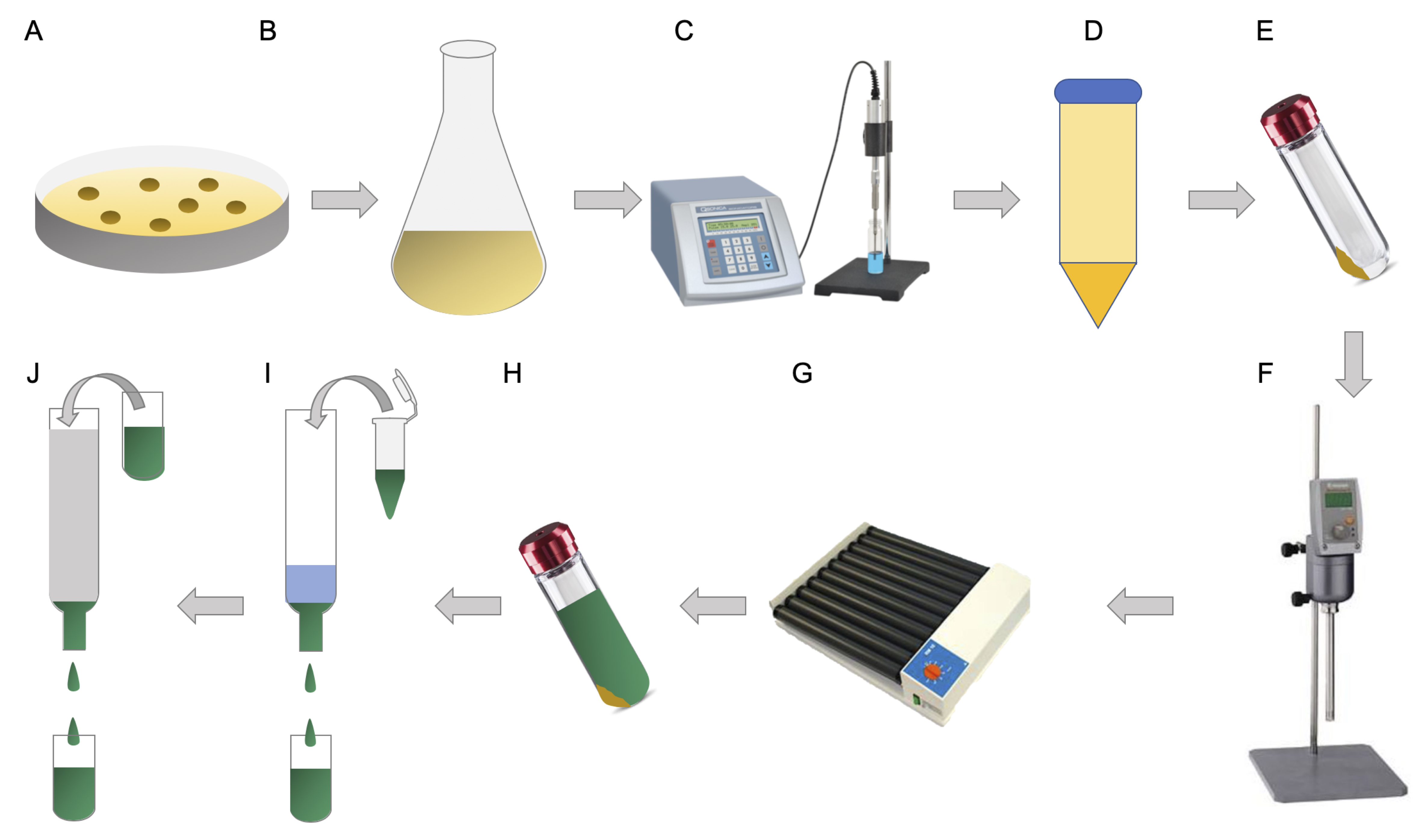 Highlevel Production of Membrane Proteins Using the