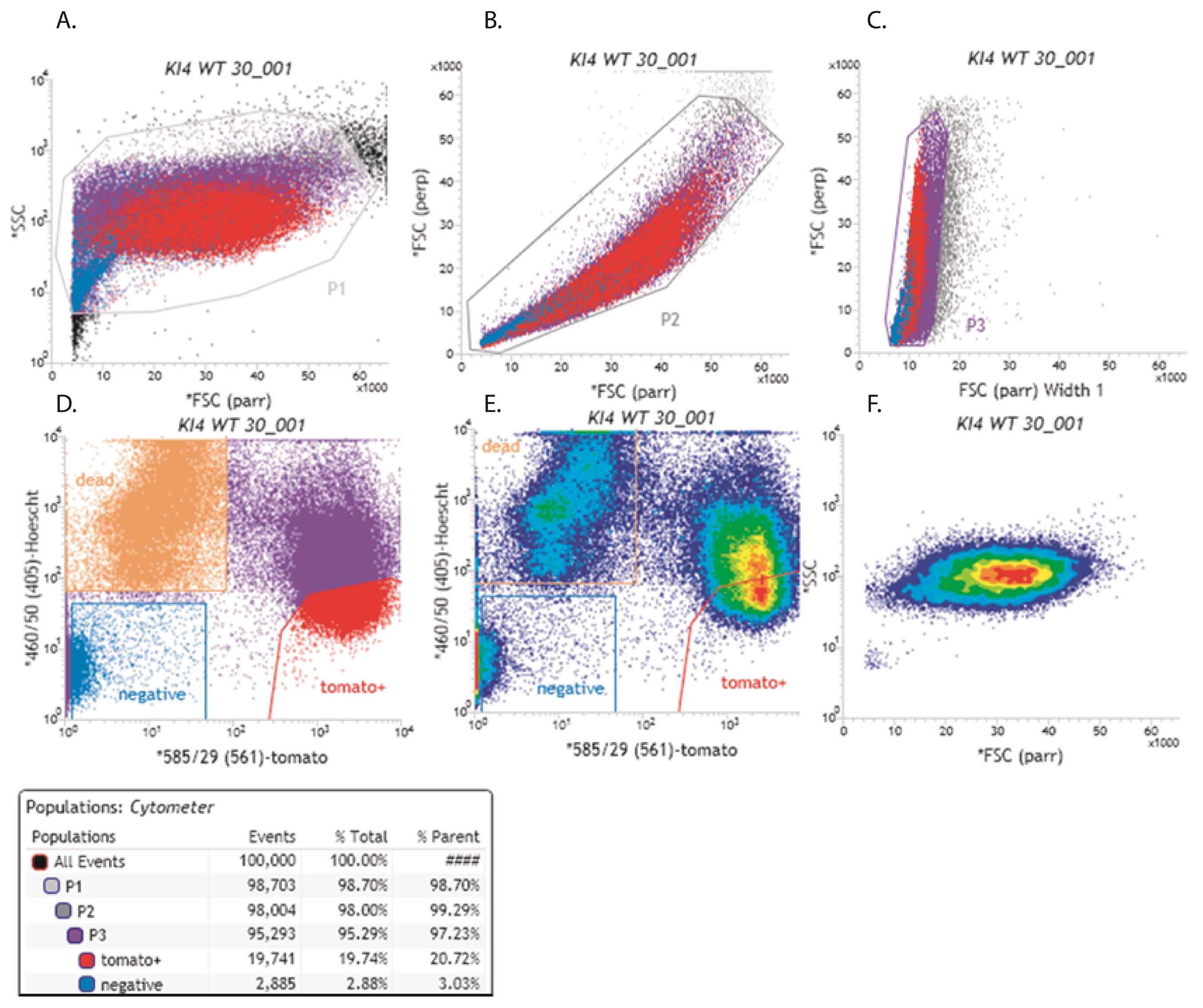 Isolation of tdTomato Expressing Inter-follicular Epidermal Melanocytes ...