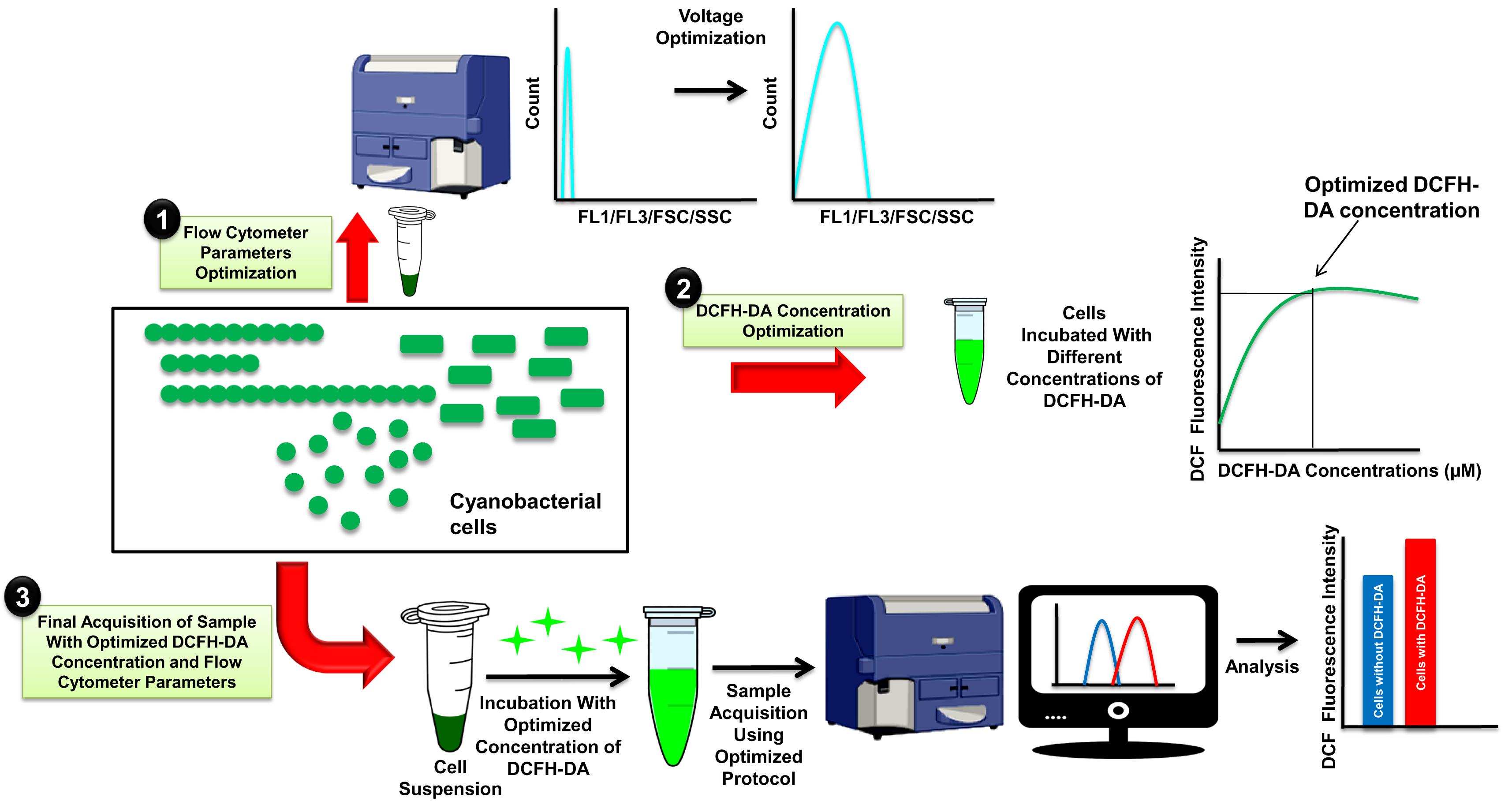 Flow Cytometry-based Measurement of Reactive Oxygen Species in ...