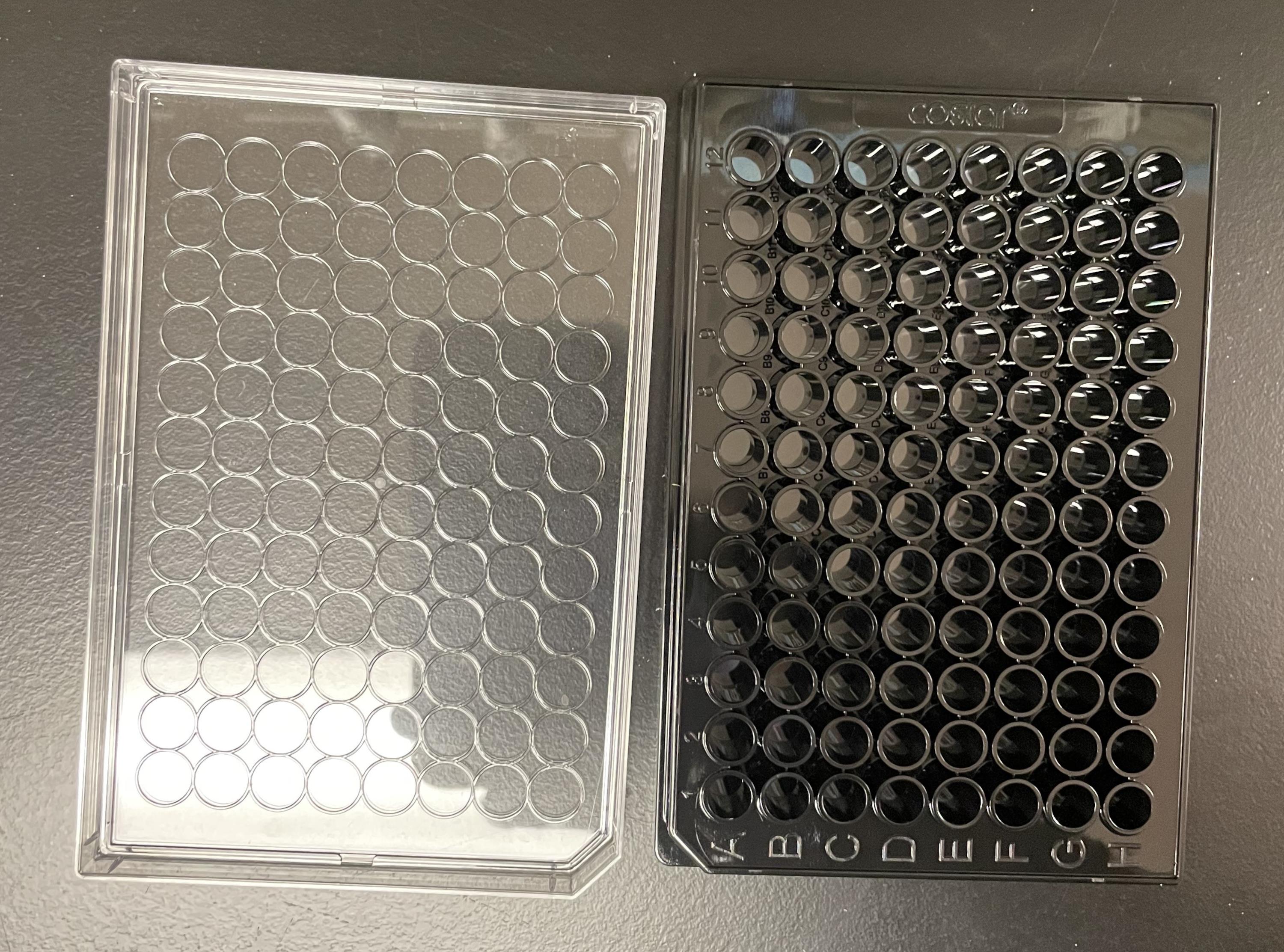 Bacterial Growth Curve Measurements with a Multimode Microplate Reader ...