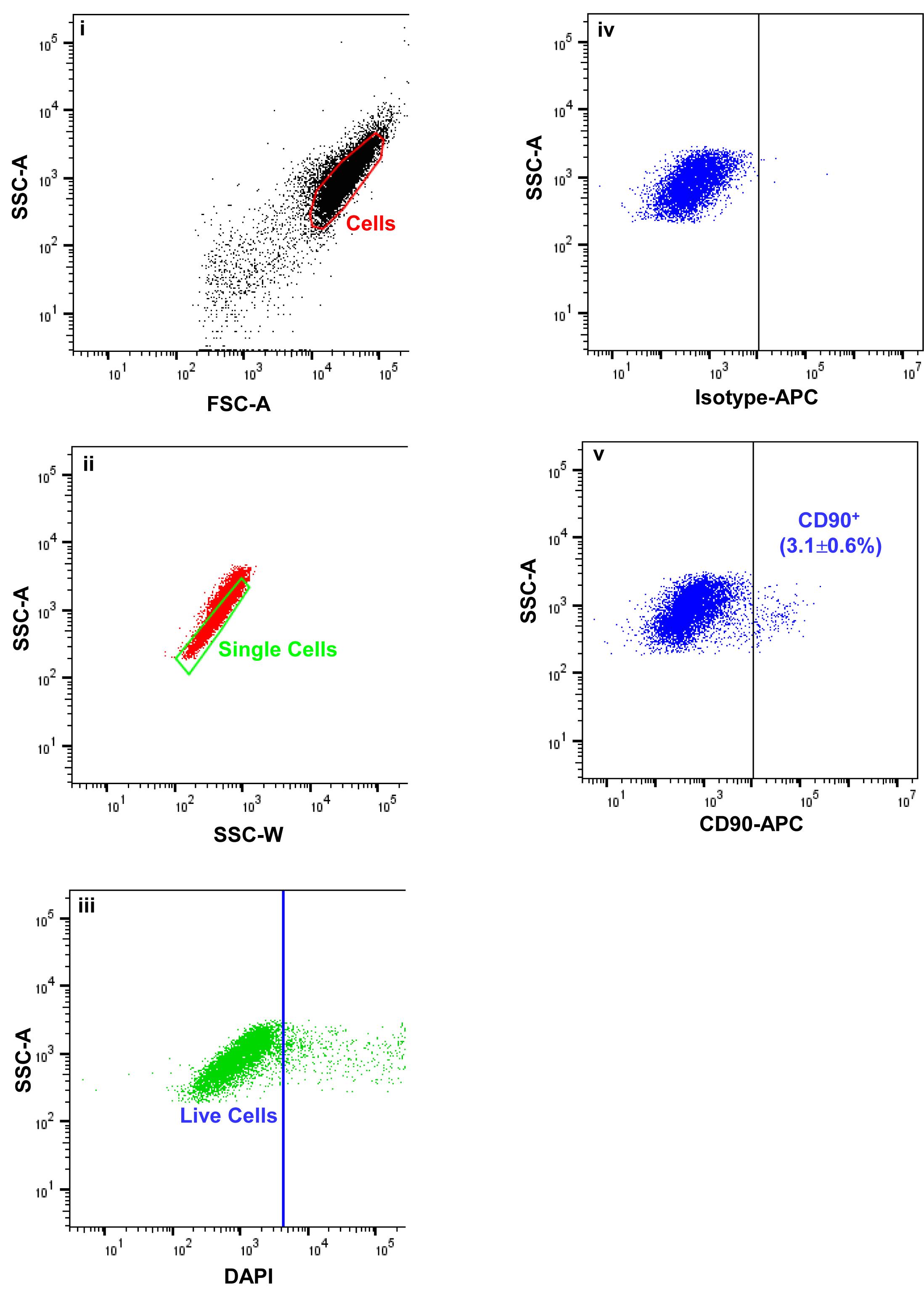 Isolation and ex vivo Expansion of Limbal Mesenchymal Stromal Cells ...