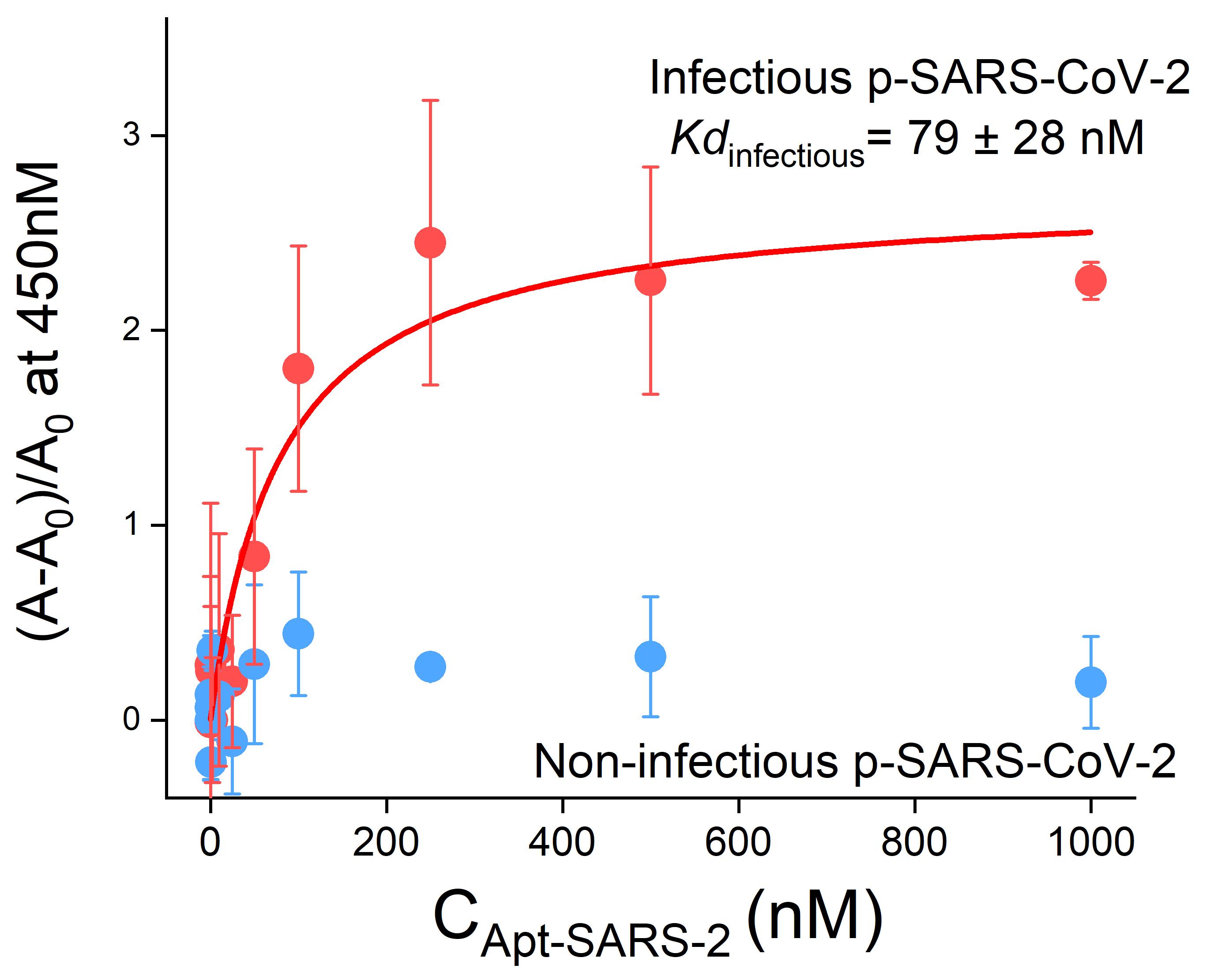 Binding Affinity Measurements Between DNA Aptamers And Their Virus ...