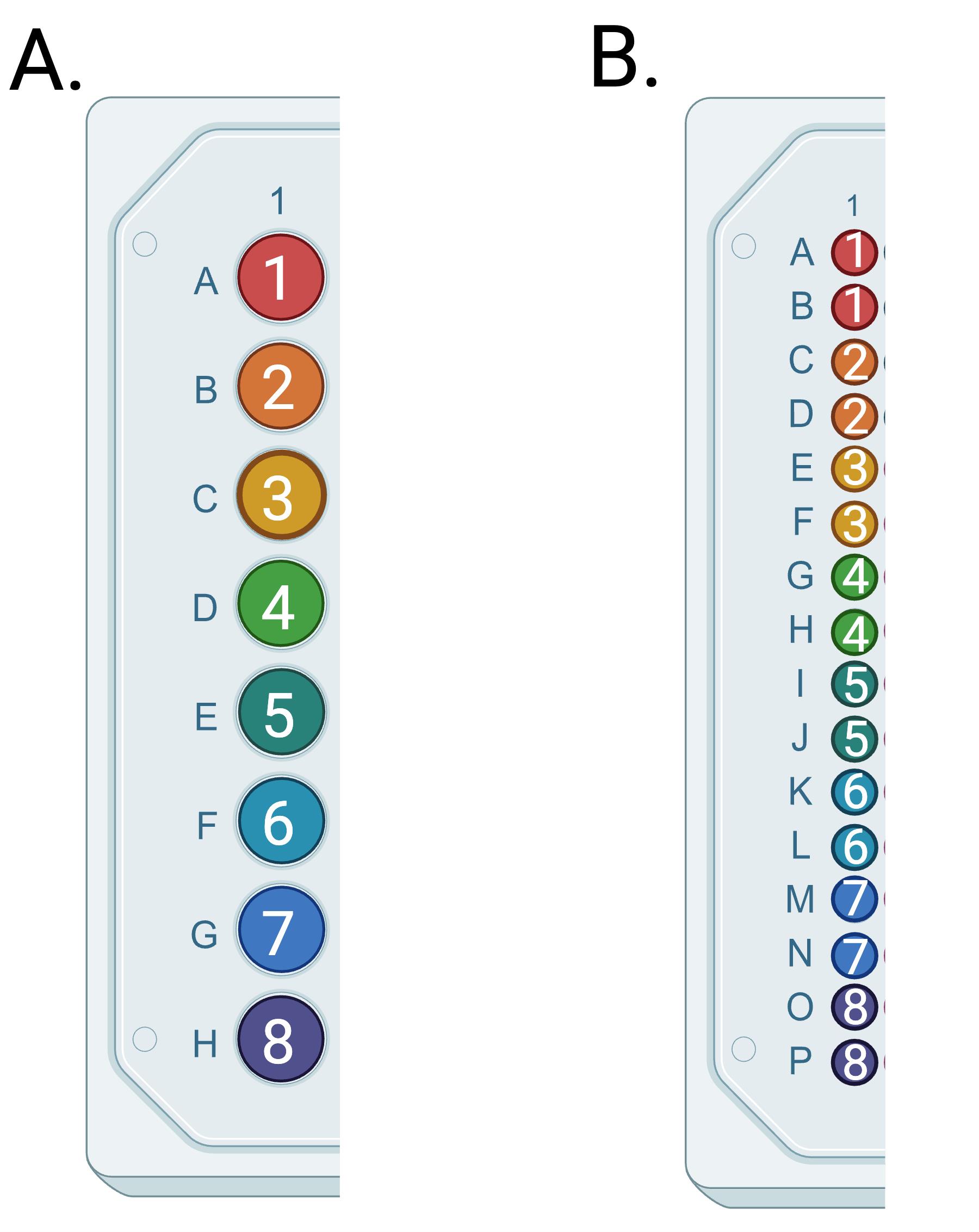 Fluorescence-Based Absent Allele-Specific Amplification (FAASA) for ...