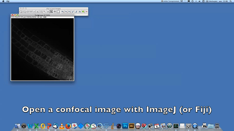 Procedure to find the best parameters to segment intracellular particles with the SiCE spot detector macro