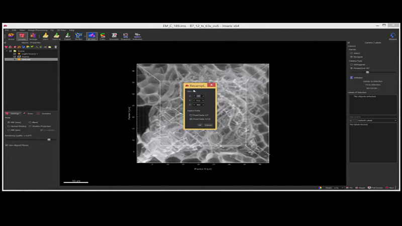 Short tutorial for membrane-based 3D image segmentation using Imaris Cell.