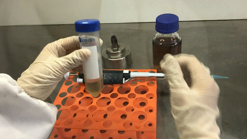 How to collect spores