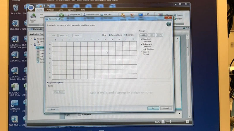 Setting up the plate reader