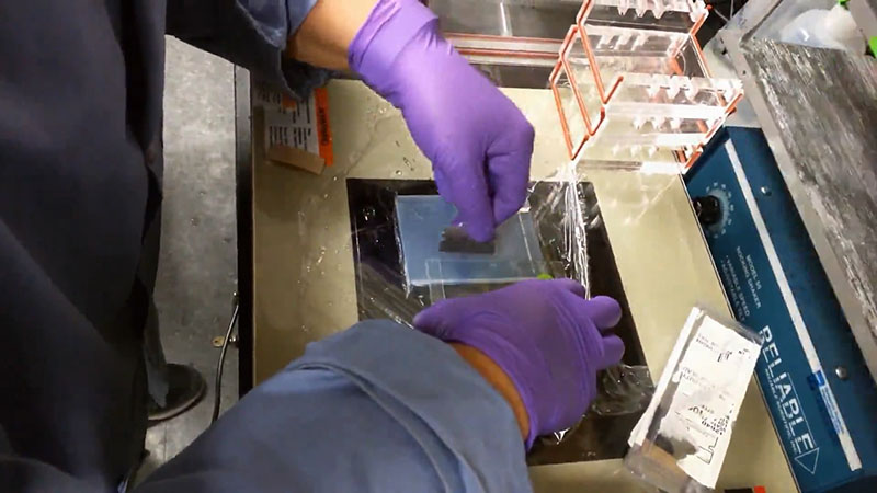 Gel electroelution protocol.