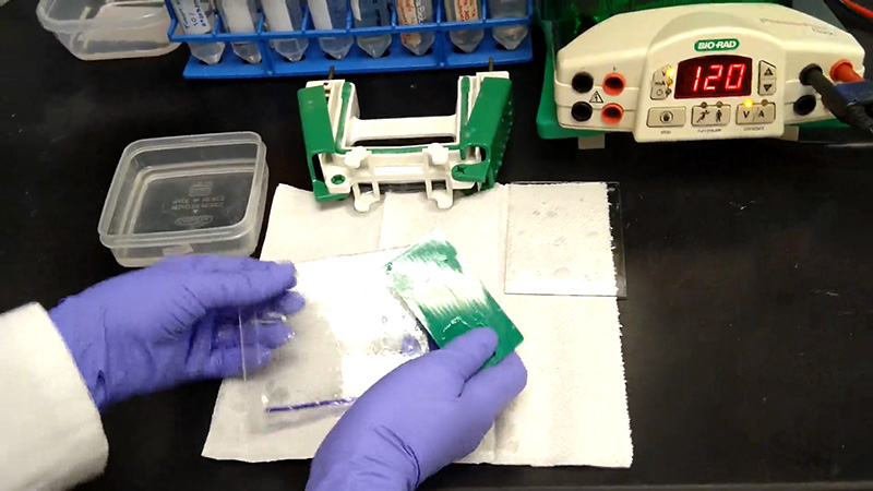 Disassembly and gel removal