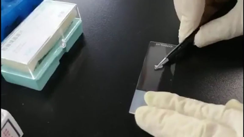 Video of slide preparation