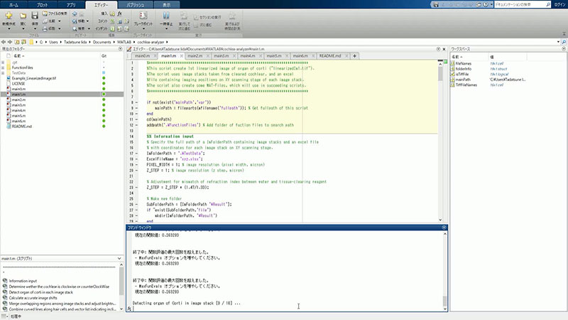 Merging of all the acquired files together to create a linearized image of HCs using main1.m
