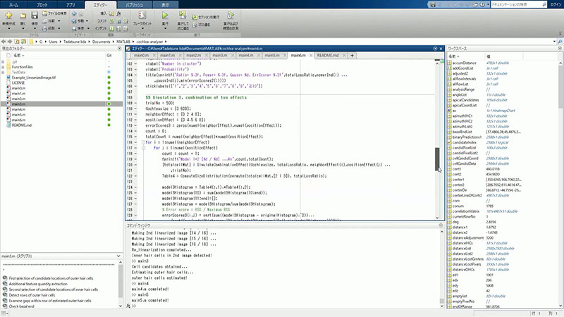 Analysis of clustered HC loss using the main6.m program