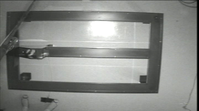 Example video of a 60-s delay trial during the third stage of behavioral testing