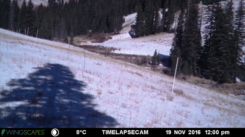 Accelerated snowmelt time-lapse during 2016-2017 snow season
