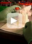 Lipid Extraction from Mouse Feces