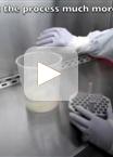 细胞因子流式细胞检测法量化恒河猴T细胞特异性抗原的记忆反应：从分析计划到数据采集