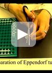 Salinity Assay in Tomato