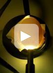 Electroporation of Embryonic Chick Eyes