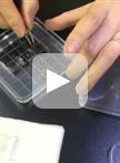 植物细胞中高尔基体和其它胞器的膜转运调节因子的生物成像