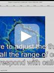 Quantification of Callose Deposition in Plant Leaves
