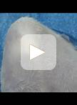 Preparation of Synovial Mesenchymal Stem Cells from a Rat Knee Joint