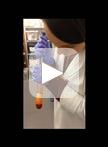 不同茄科果实物种有色体亚群的分级分离方法