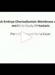 The Chick Embryo Chorioallantoic Membrane as an in vivo Model to Study Metastasis
