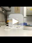 Measuring Oxygen Consumption Rate in Caenorhabditis elegans