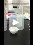 Extraction and Measurement of Abscisic Acid in a Unicellular Red Alga Cyanidioschyzon merolae