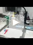 在细胞系和患者源性异种移植瘤小鼠模型中进行的体内疗效研究