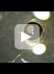 Heterochronic Pellet Assay to Test Cell-cell Communication in the Mouse Retina