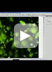 Transient Transfection-based Fusion Assay for Viral Proteins