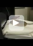 Assessment of Murine Retinal Function by Electroretinography
