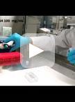 Automated Tracking of Root for Confocal Time-lapse Imaging of Cellular Processes