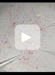 Optogenetic Stimulation and Recording of Primary Cultured  Neurons with Spatiotemporal Control