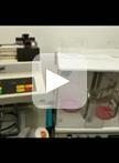 Bioelectrospray Methodology for Dissection of the Host-pathogen  Interaction in Human Tuberculosis